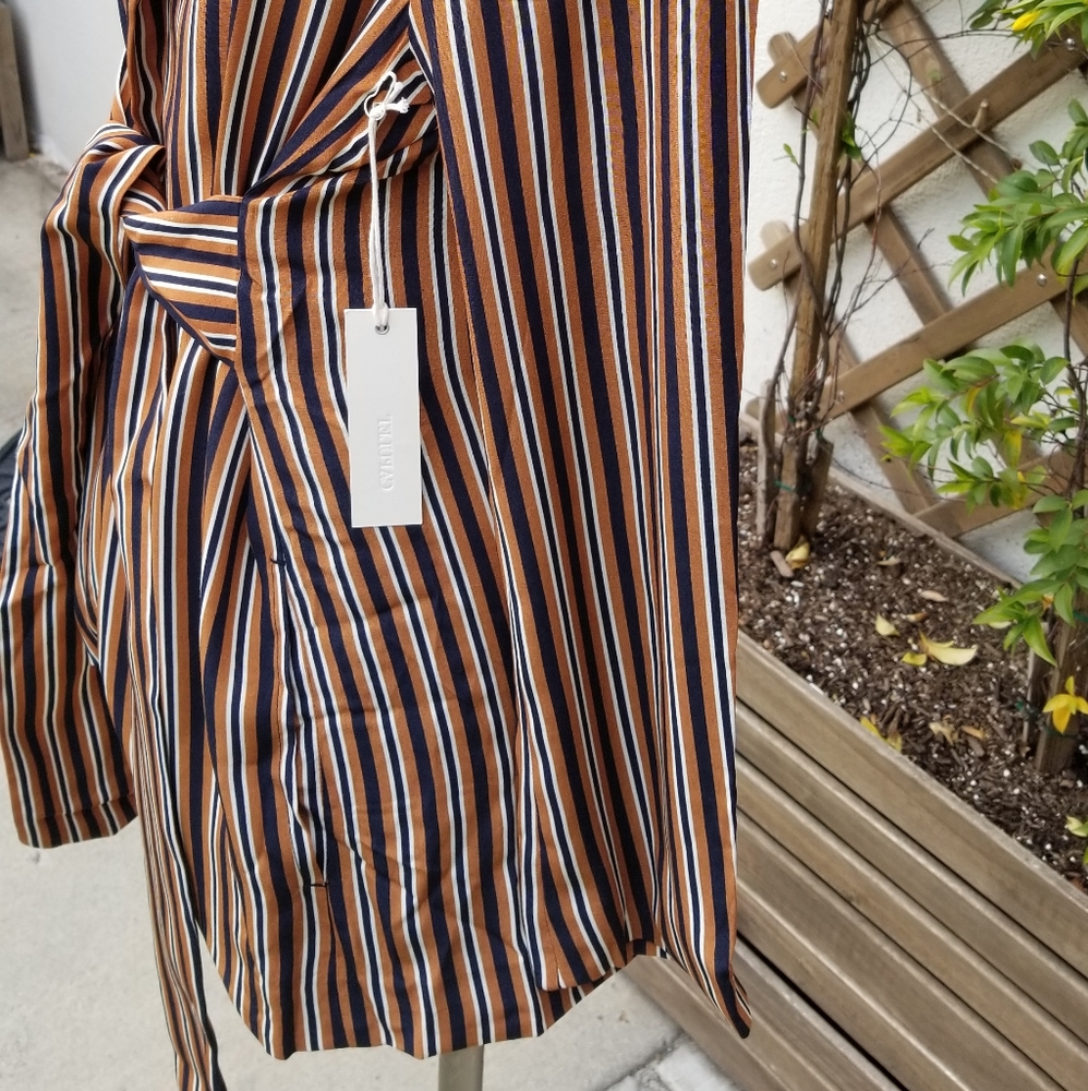 🌷Capulet Striped Blazer - Picture 6 of 7